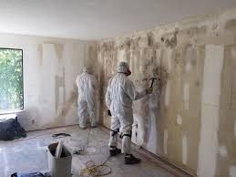 Professional Mold Prevention & Removal  in Breckenridge Hills, MO